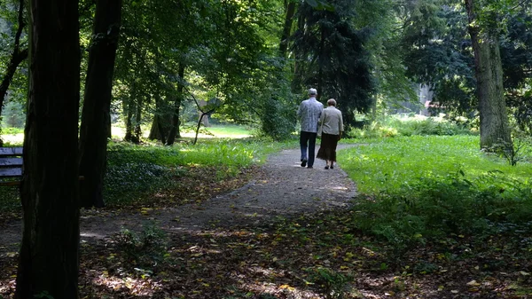 Старша пара в парку — стокове фото