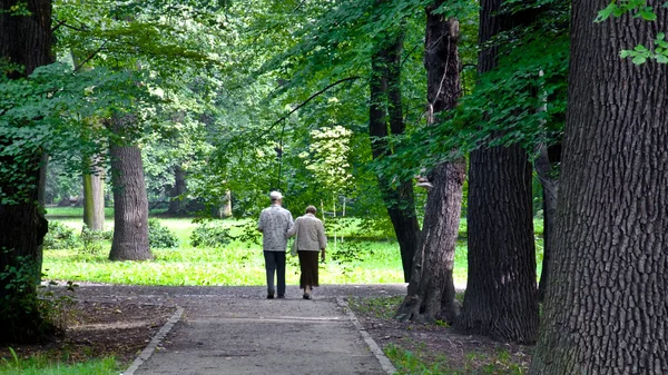 Idős pár a parkban — Stock Fotó