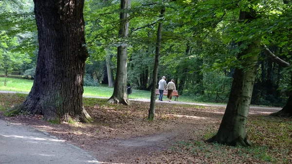 Старша пара в парку — стокове фото