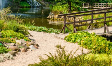 Japanese Garden Bridge