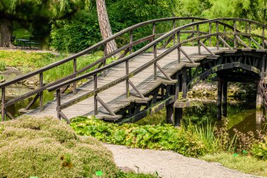 Japanese Garden Bridge