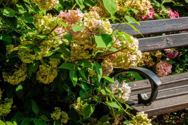 sunset Park Bench