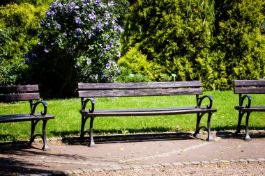 sunset Park Bench