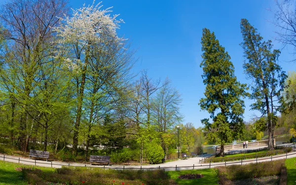 봄 시간에 공원 — 스톡 사진