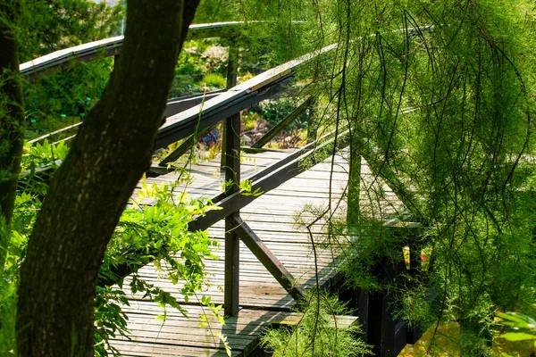 Ponte giardino giapponese — Foto Stock