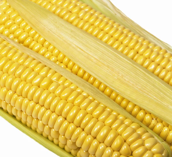 Kolby kukurydzy świeży — Zdjęcie stockowe