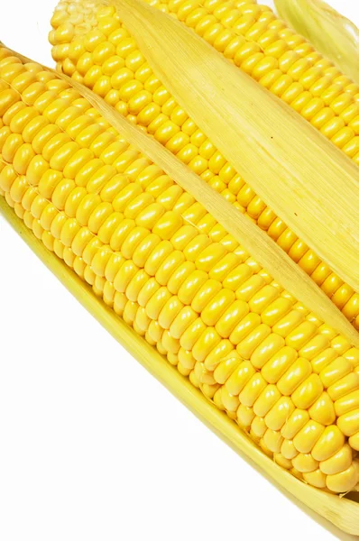 Zbliżenie żółty kukurydza — Zdjęcie stockowe