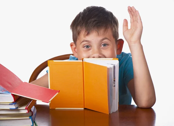 Chłopiec książek — Zdjęcie stockowe