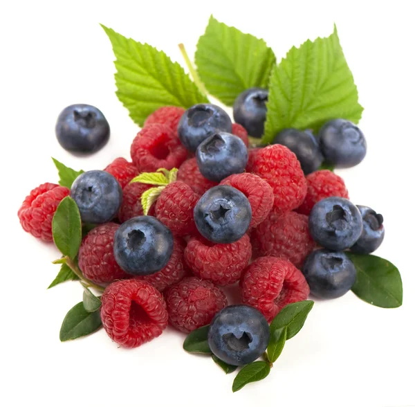 Mix of fresh berry — Stock Photo, Image