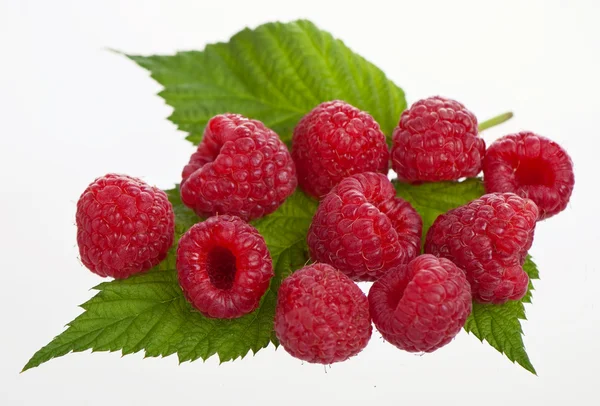 Macro shot of appetizing raspberries — Stock Photo, Image