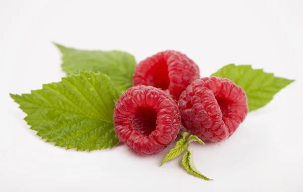 Raspberry vruchten close-up — Stockfoto
