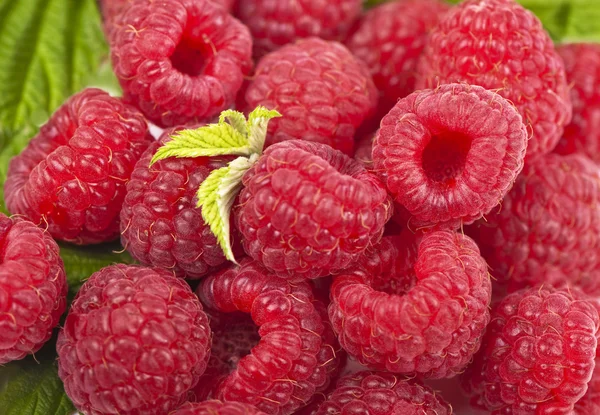 stock image Raspberry with green leaf