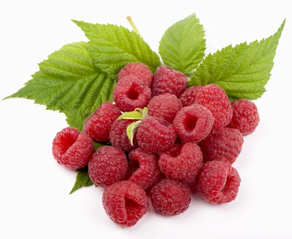 Raspberry with green leaf — Stockfoto