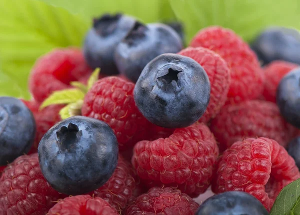 Raspberry dengan blueberry — Stok Foto