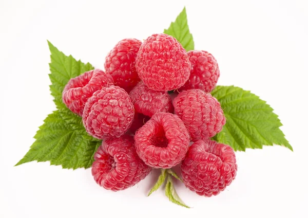 Framboesa frutas closeup — Fotografia de Stock
