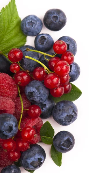 Fresh berries isolated — Stock Photo, Image