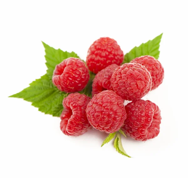 Raspberry fruit closeup — Stock Photo, Image