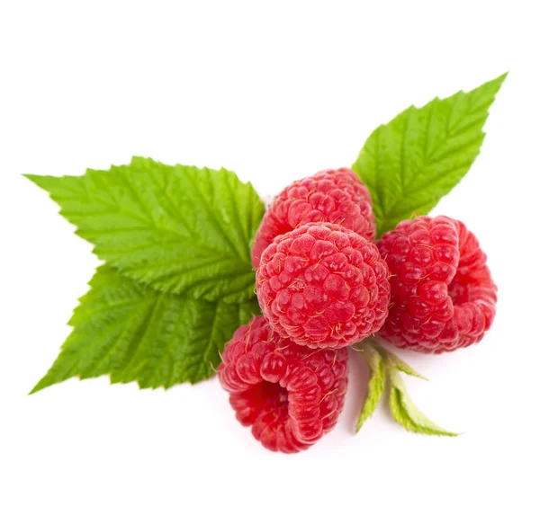 Macro shot of appetizing raspberries — Stock Photo, Image