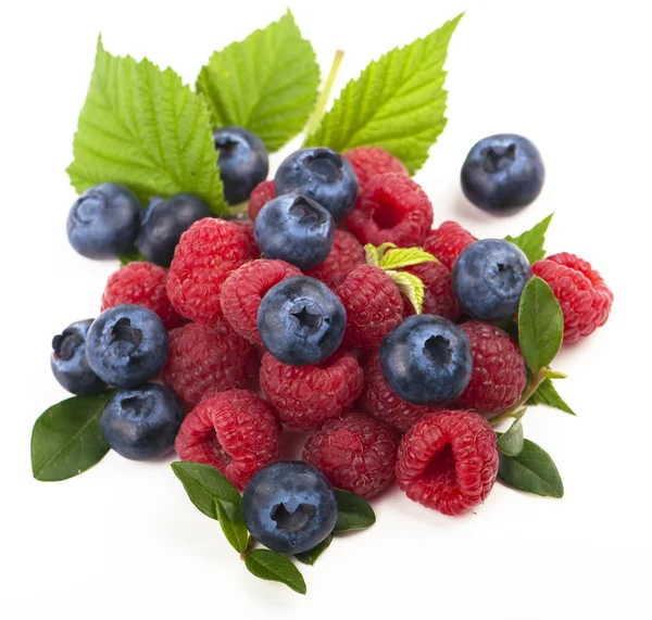 Berry mix — Fotografie, imagine de stoc