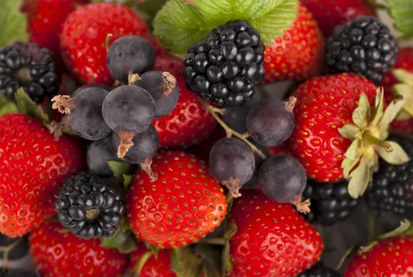 Strawberry, raspberry and blackberry — Stock Photo, Image
