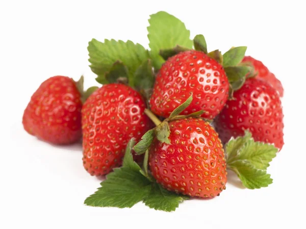 美丽的草莓 — 图库照片