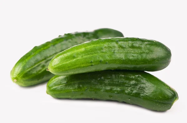 stock image Cucumber