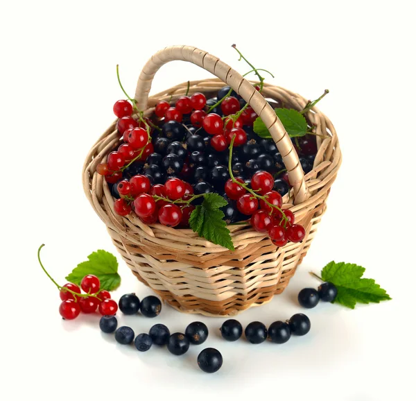 Basket of berries — Stock Photo, Image