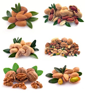 Set of nuts on a white background clipart