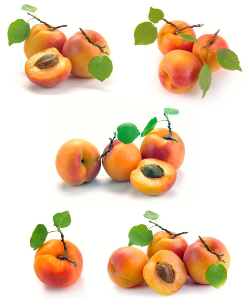 Abrikoos met bladeren — Stockfoto