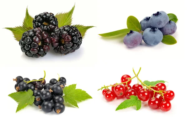 Summer ripe berries with leaves — Stock Photo, Image