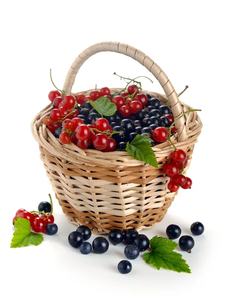Basket of berries — Stock Photo, Image