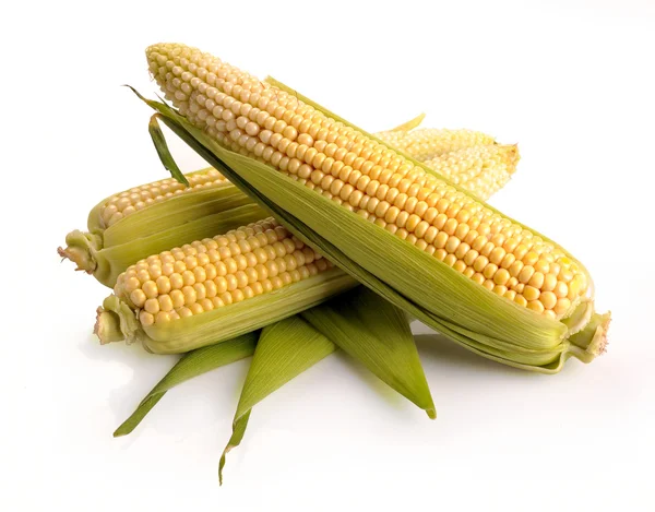 Świeża kukurydza owoce z zielonych liści — Zdjęcie stockowe