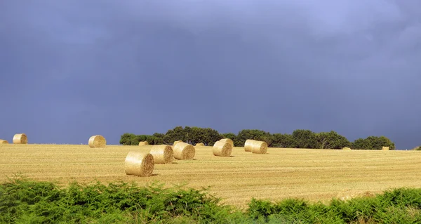 Jordbrukare fältet med höbalar — Stockfoto