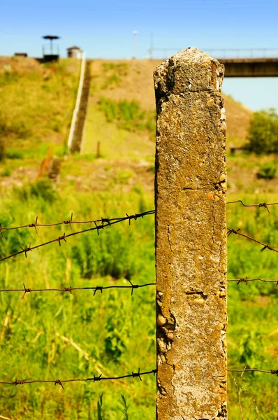 Skydd från en taggtråd — Stockfoto