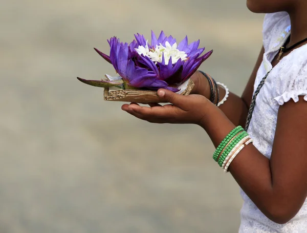 Las flores del loto en las manos —  Fotos de Stock