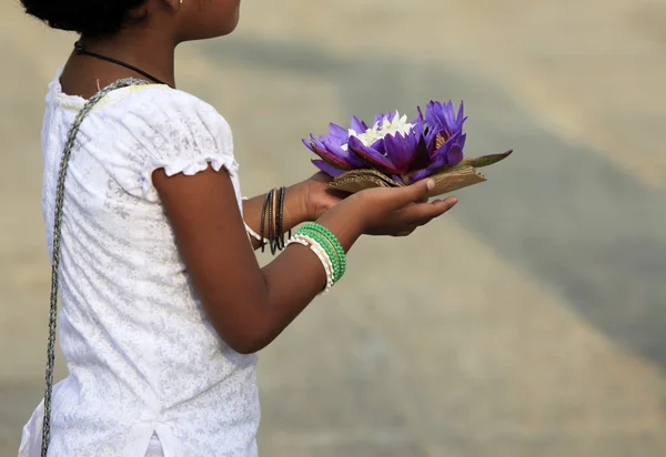 Kwiaty lotosu w ręce — Zdjęcie stockowe