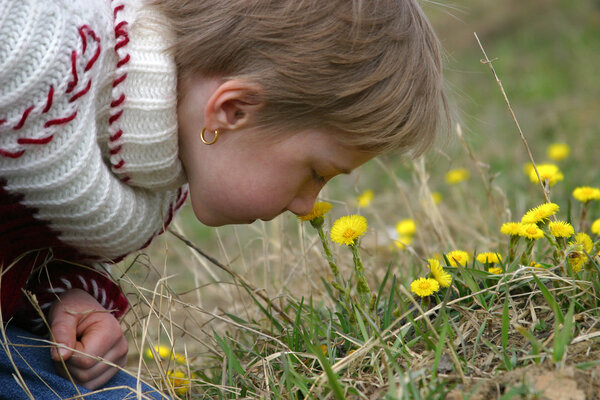 Желтые цветы
