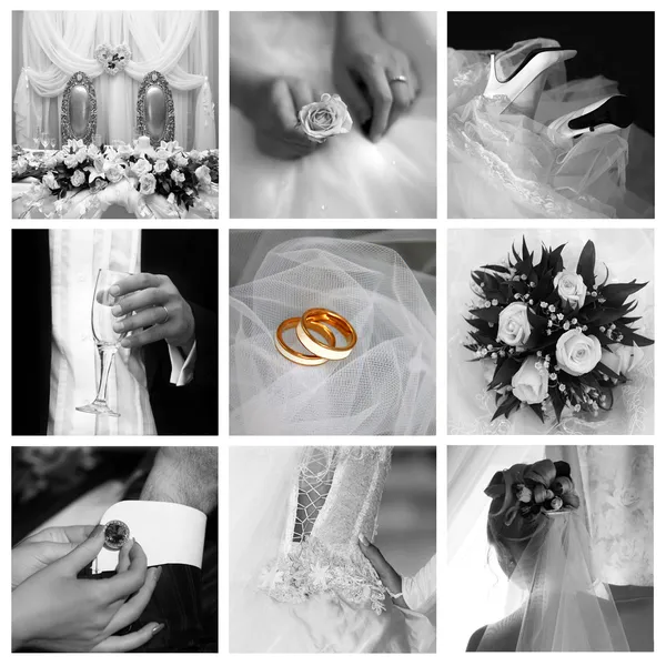Bröllopsbilder — Stockfoto