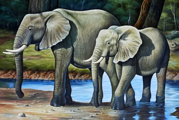 Elefant familj — Stockfoto