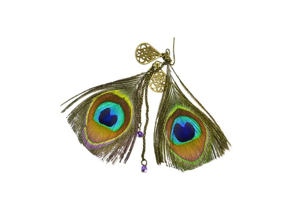 Peacock feather earrings — Stock Photo, Image