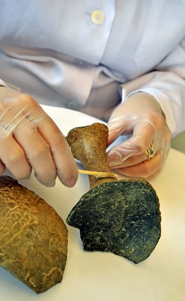 stock image Woman restoring drink prehistoric