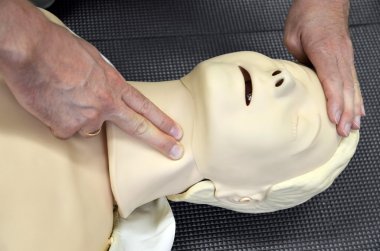 First aid medical practice mannequin or dummy, Check pulse on neck clipart