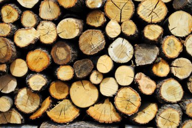 Wood, logs and splitted trunks, useful as background clipart