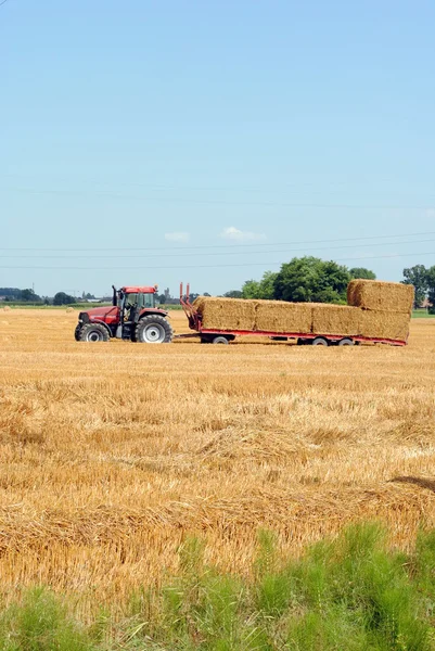 拖拉机加载捆捆的干草在农地 — 图库照片