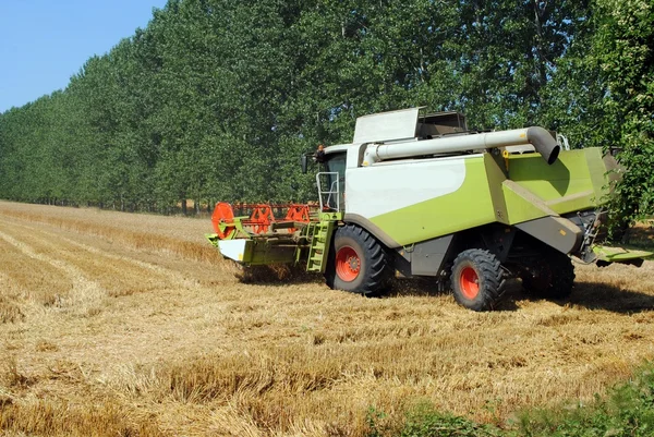 Thresher machine works in a wheat field — Stock Photo, Image