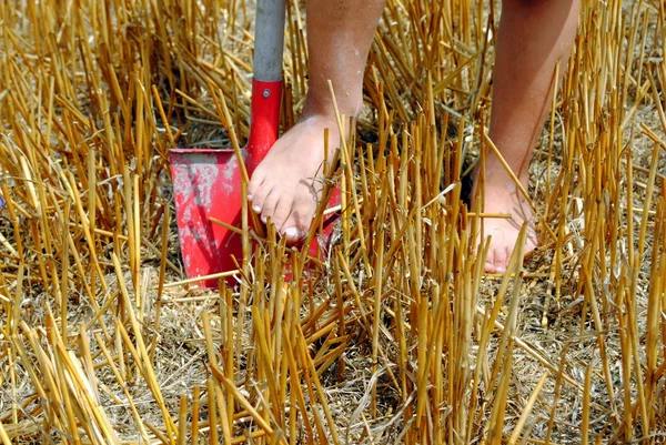 Kif pieds sur une pelle dans le champ — Photo