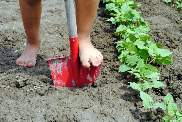 Kif Füße über eine Schaufel im Garten — Stockfoto