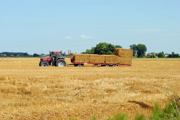 Los tractores cargan fardos de heno en tierras de cultivo —  Fotos de Stock