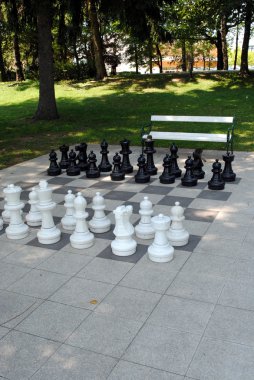 Big chess set in the park with benches clipart