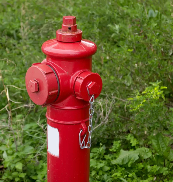 Hidrante rojo — Foto de Stock